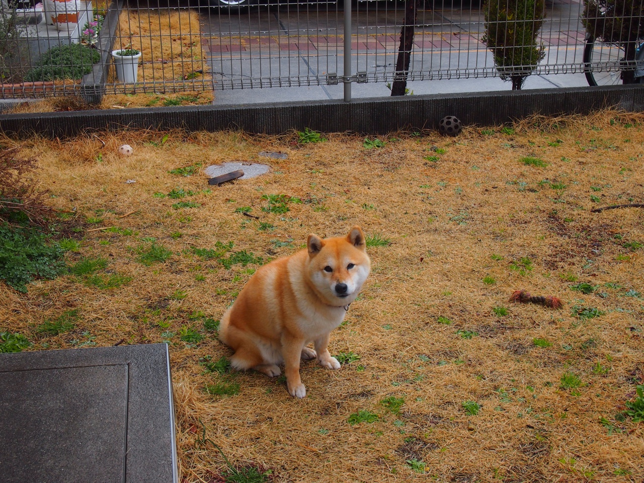 开云体育APP下载-【逆转奇迹】比赛中逆境翻盘的精彩瞬间，经典逆转比赛