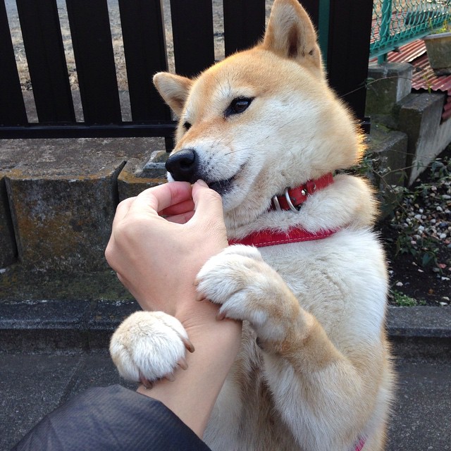 kaiyun体育综合-库里关键三分逆转勇士！，库里关键三分视频