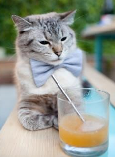 kaiyun登录入口-比赛后访：李明感谢队友拼搏，目标冠军！，李明参加射击比赛