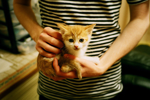 开云平台-特色青训“绿色+智能+专业”行业生态逐步成型，行业竞争力不断增强