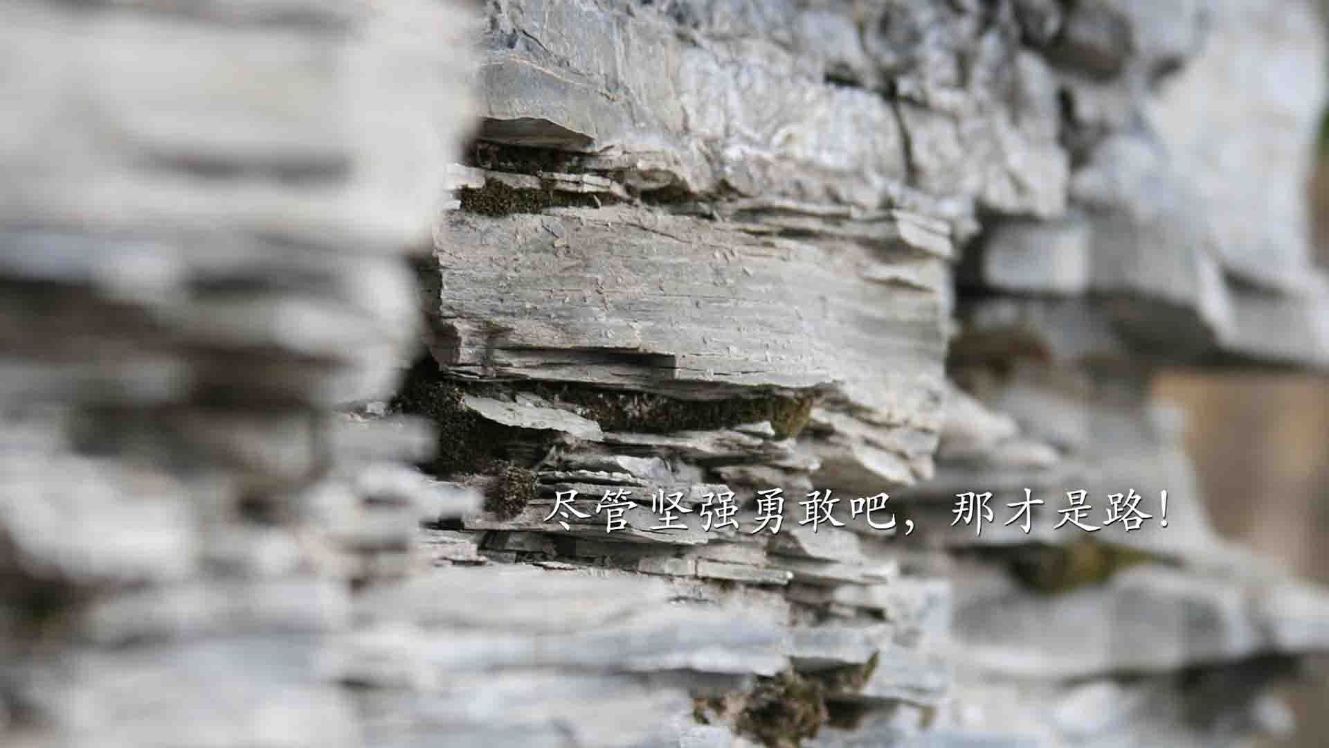 kaiyun官方入口登录-电竞内容生态丰富多彩，从比赛到综艺、动画全面布局，电竞ian