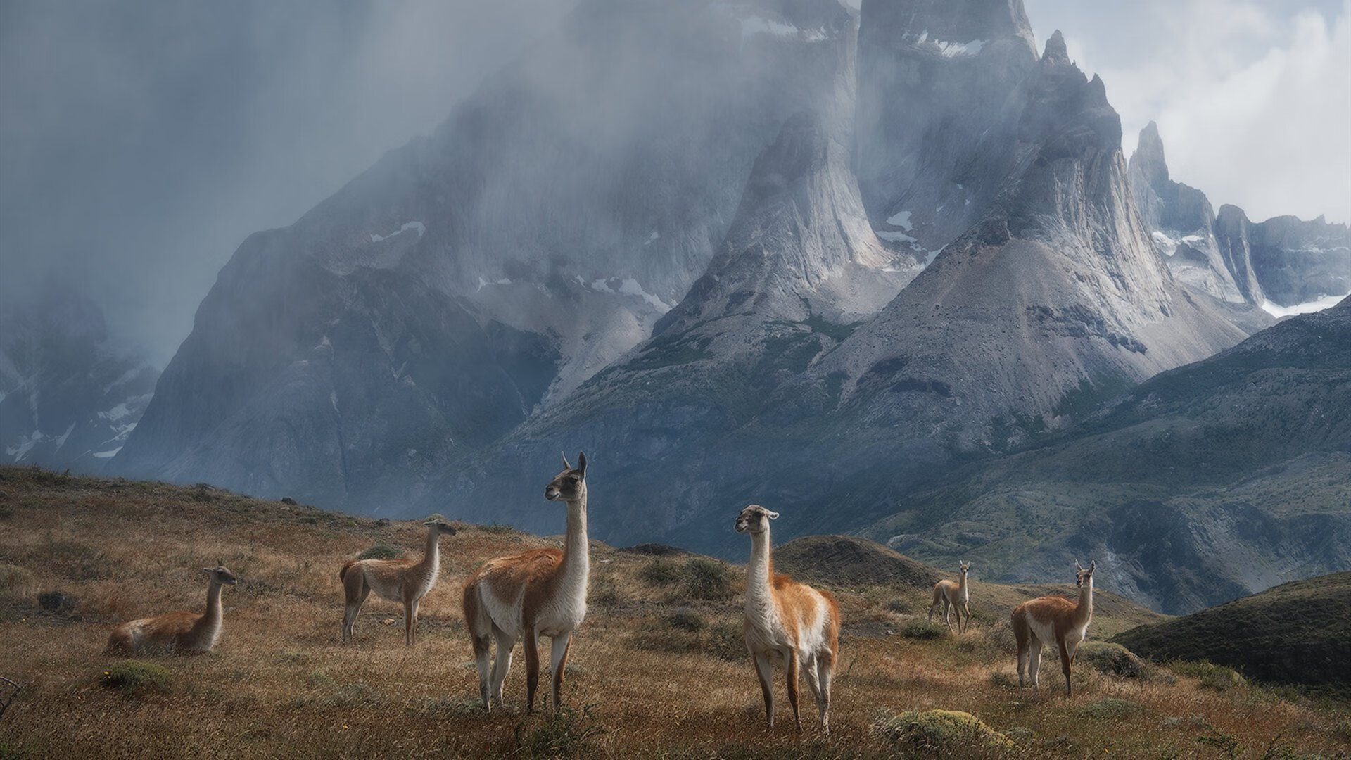 开云网站-前途未卜,亚冠比赛各路豪强角逐,亚冠的比赛