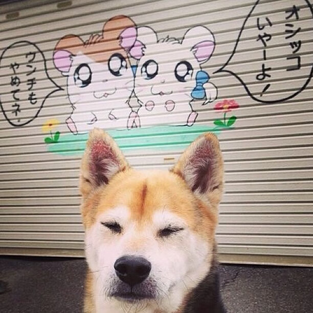 kaiyun体育app-卡塔尔俱乐部宣布引进巴西国脚，卡塔尔2022年足球