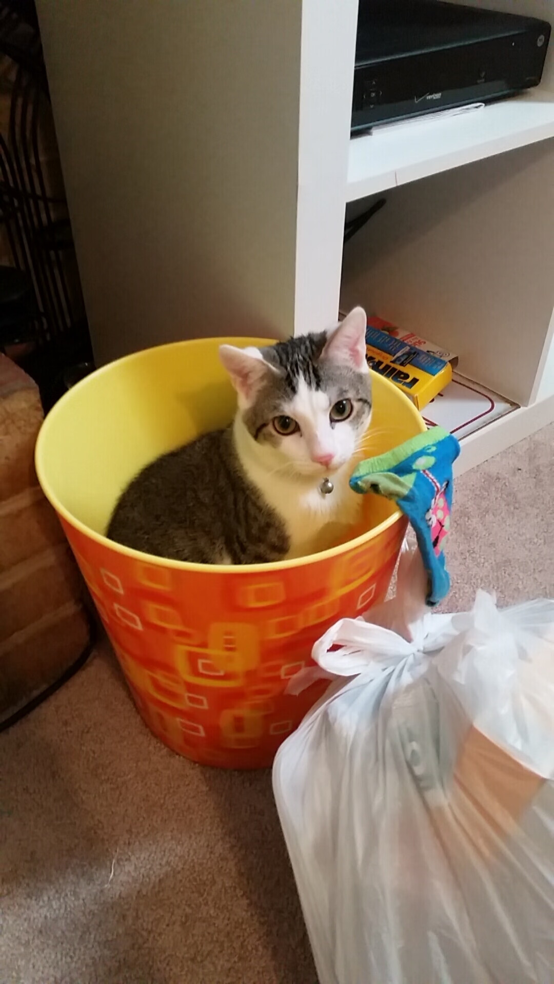 Kaiyun(中国)开云-阿尔阿赫利攻防转换效率提升，阿尔纳赫达