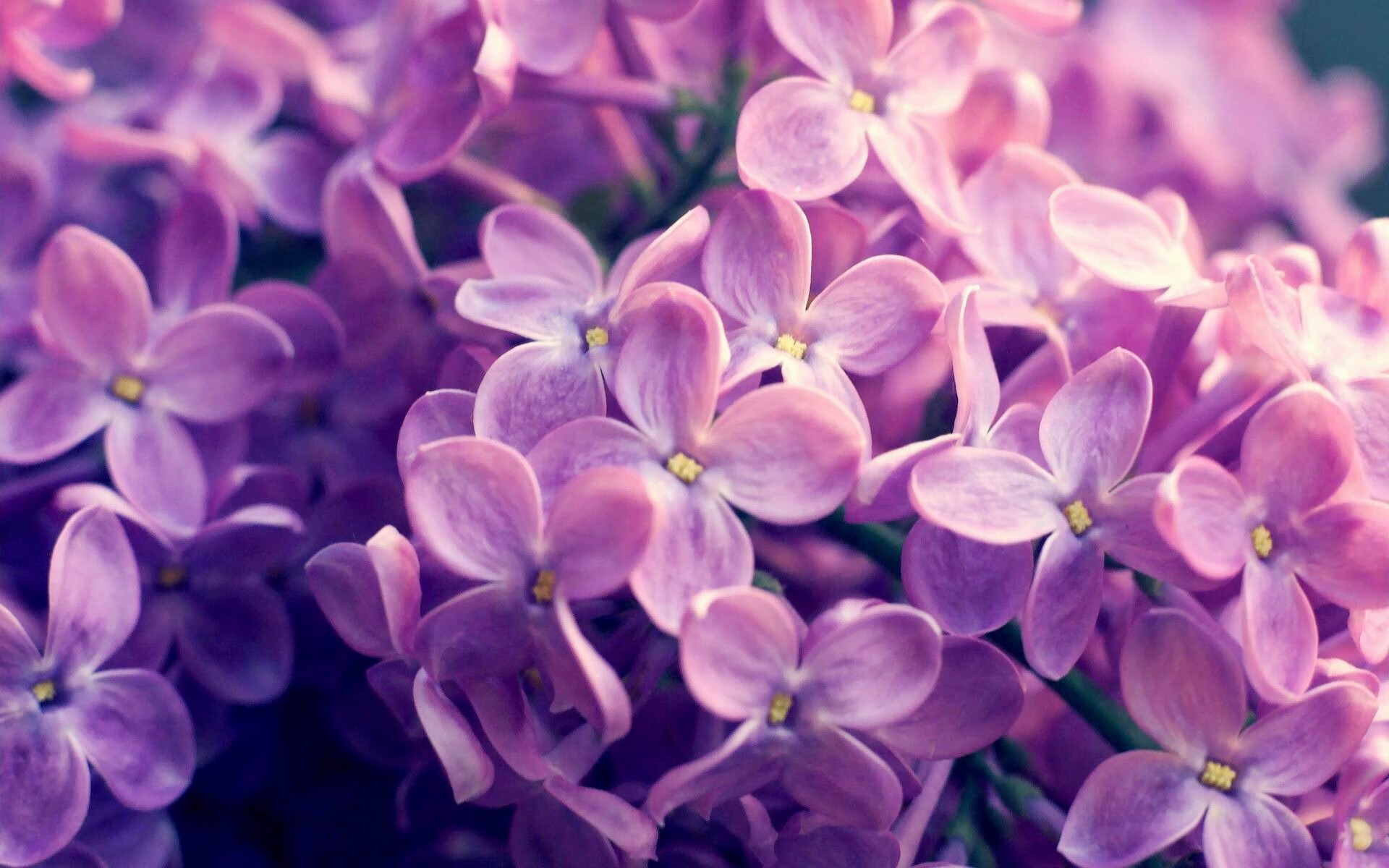 开云中国大陆-NBA赛季三分球命中率统计，nba2021赛季三分球命中数排行榜