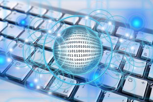 kaiyun网站-中国青少年篮球发展政策落实与效果评估,中国青少年篮球训练教学大纲测试指标