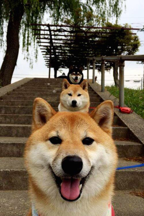 Kaiyun APP-中小俱乐部对接职业通道不畅