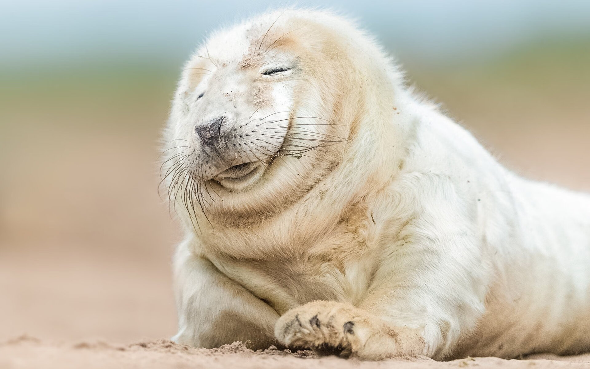 Kaiyun APP-印度赛制发展轨迹：怎样培养顶尖乒乓人才，印度 乒乓球