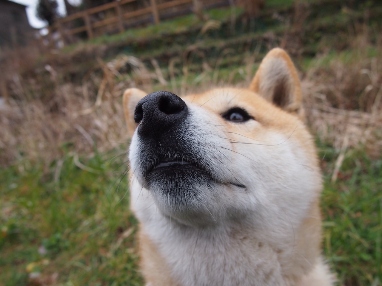 开云平台-那不勒斯整体推进打出层层渗透,那不勒斯开什么理念