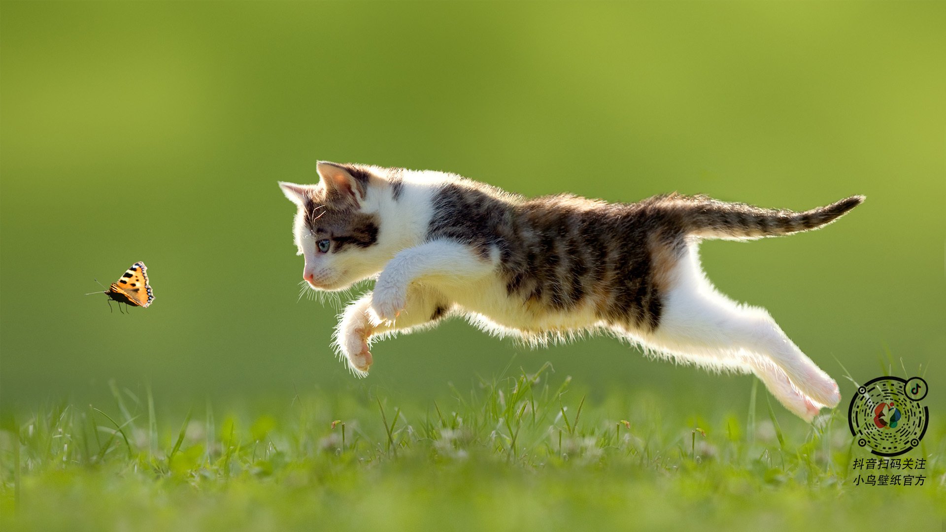 KAIYUN 中国大陆-女子篮球加大青训比重储备未来国家队力量,女子篮球队训练方法