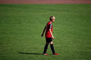 开云官方-未来足球场馆将融合智能照明和环境监测系统，绿色科技引领行业